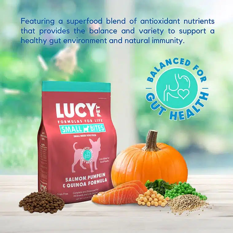 Lucy Pet Salmon, Pumpkin & Quinoa Small Bites for Dogs