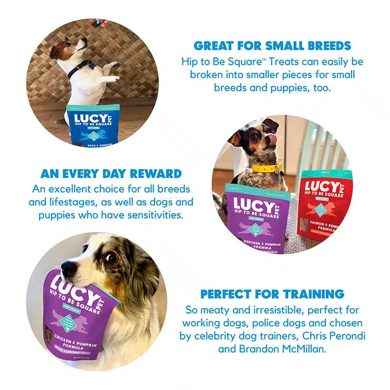 Lucy Pet Duck & Pumpkin Dog Treats