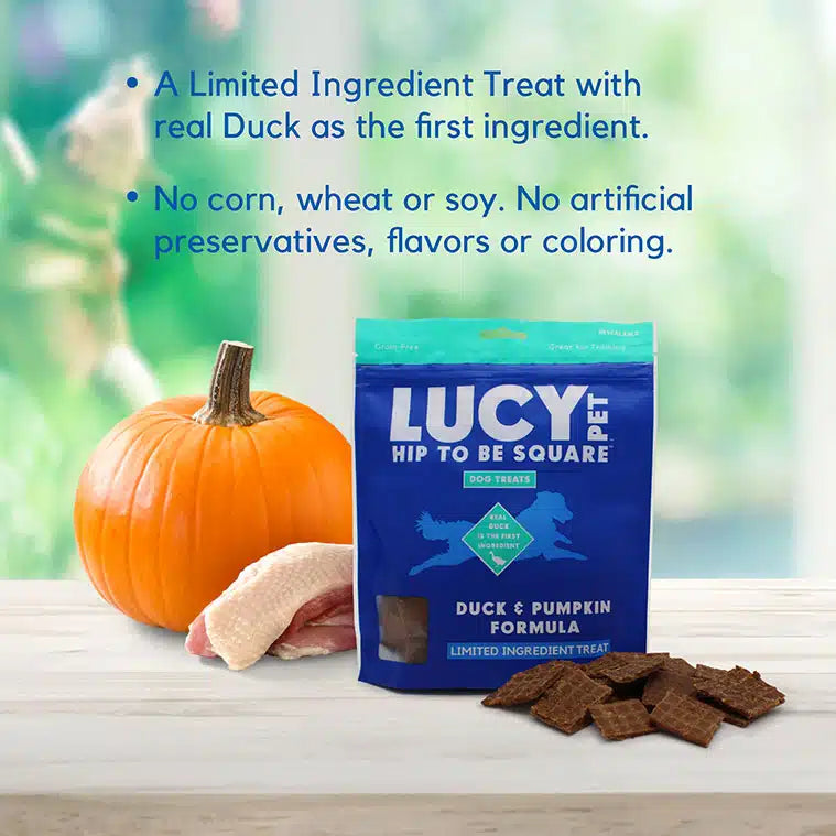 Lucy Pet Duck & Pumpkin Dog Treats