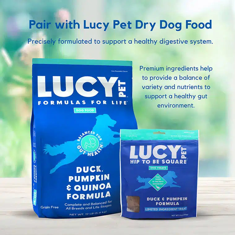 Lucy Pet Duck & Pumpkin Dog Treats