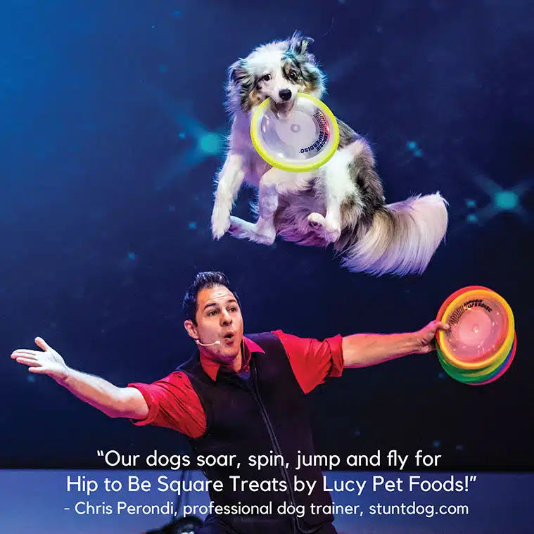 Lucy Pet Duck & Pumpkin Dog Treats