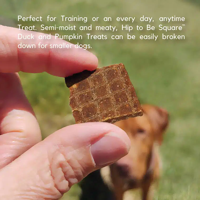 Lucy Pet Duck & Pumpkin Dog Treats