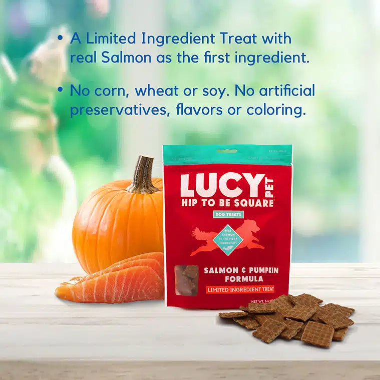 Lucy Pet Salmon & Pumpkin Dog Treats
