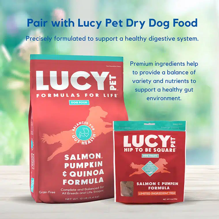 Lucy Pet Salmon & Pumpkin Dog Treats