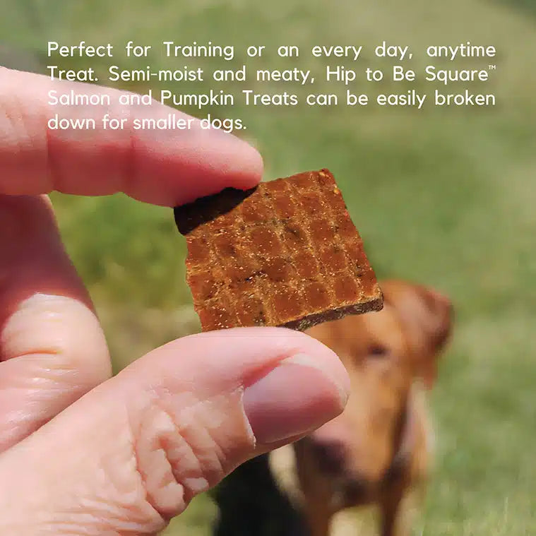 Lucy Pet Salmon & Pumpkin Dog Treats