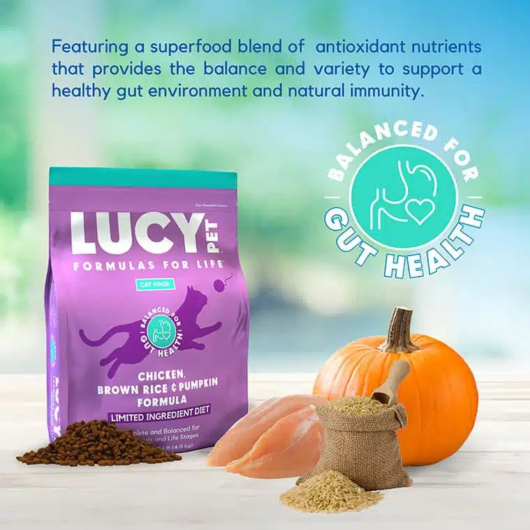 Lucy Pet Chicken, Brown Rice & Pumpkin, LID Cat Food