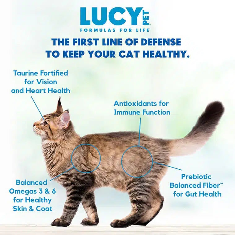 Lucy Pet Chicken, Brown Rice & Pumpkin, LID Cat Food