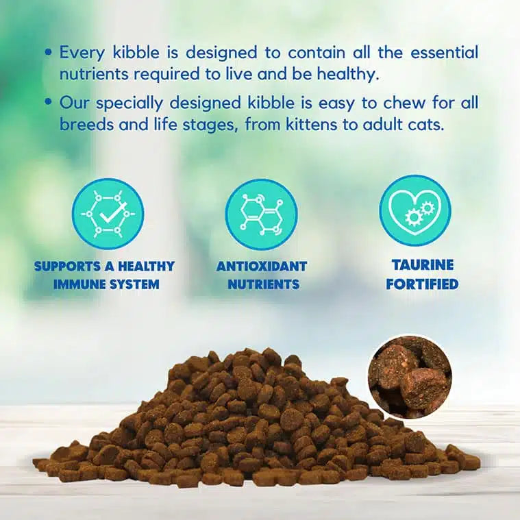 Lucy Pet Chicken, Brown Rice & Pumpkin, LID Cat Food