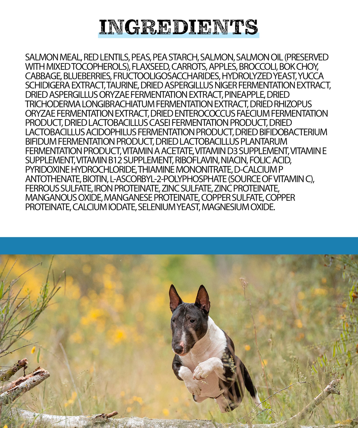 Horizon Pulsar Fish All Life Stages Dog Food