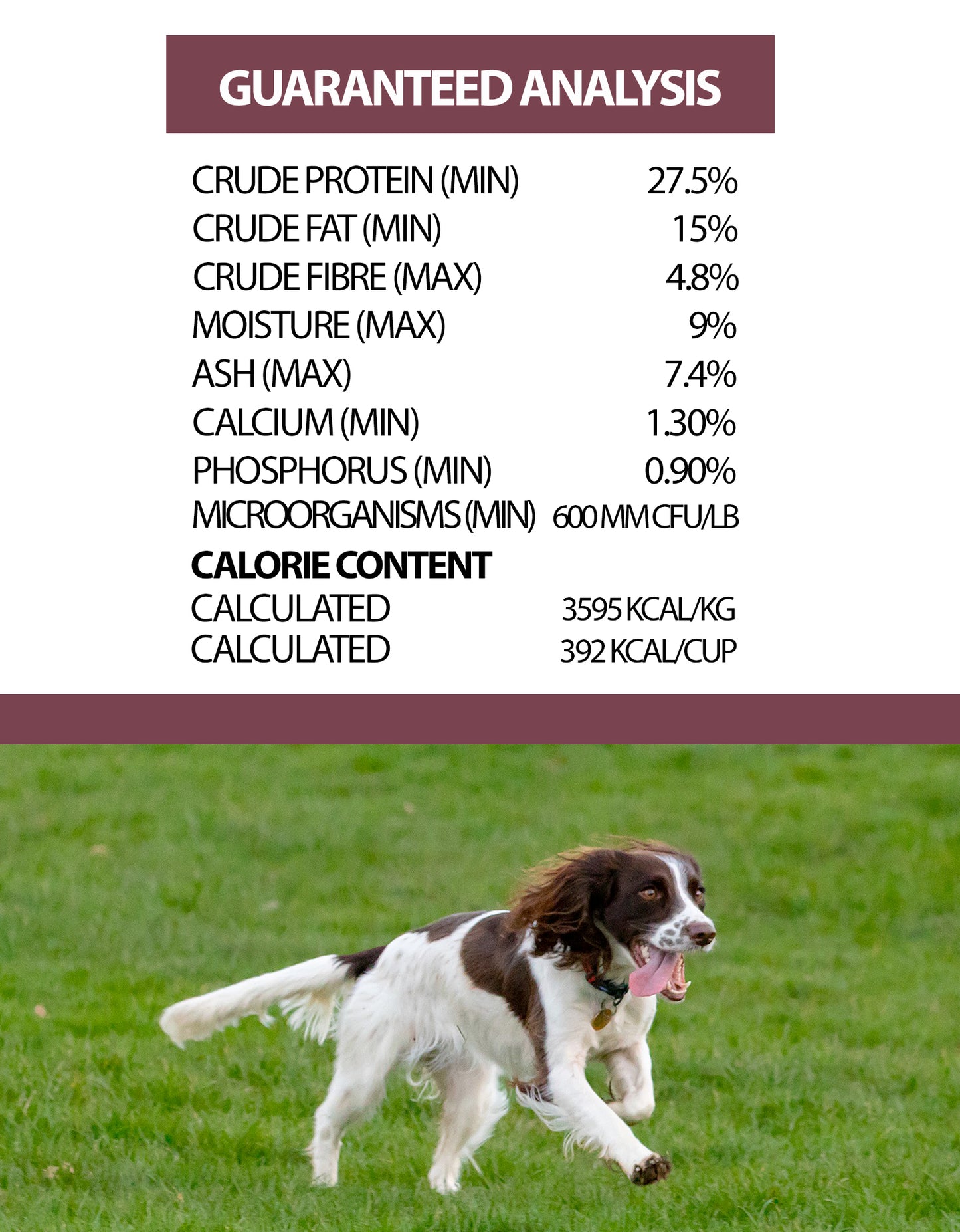 Horizon Pulsar Turkey All Life Stages Dog Food