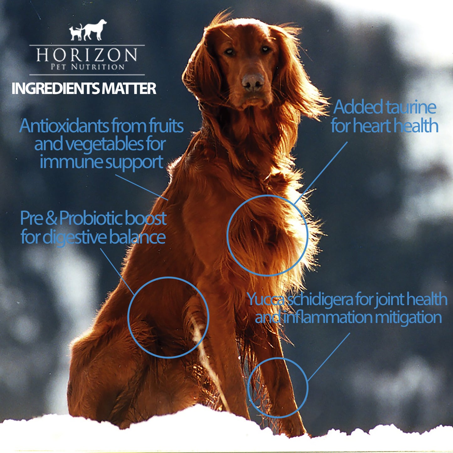 Horizon Pulsar Turkey All Life Stages Dog Food