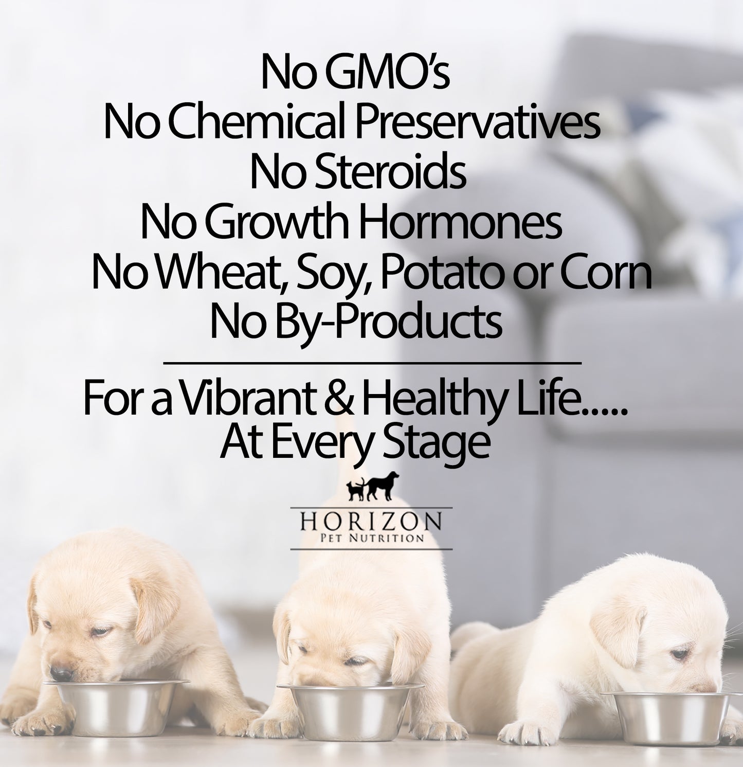 Horizon Pulsar Turkey All Life Stages Dog Food