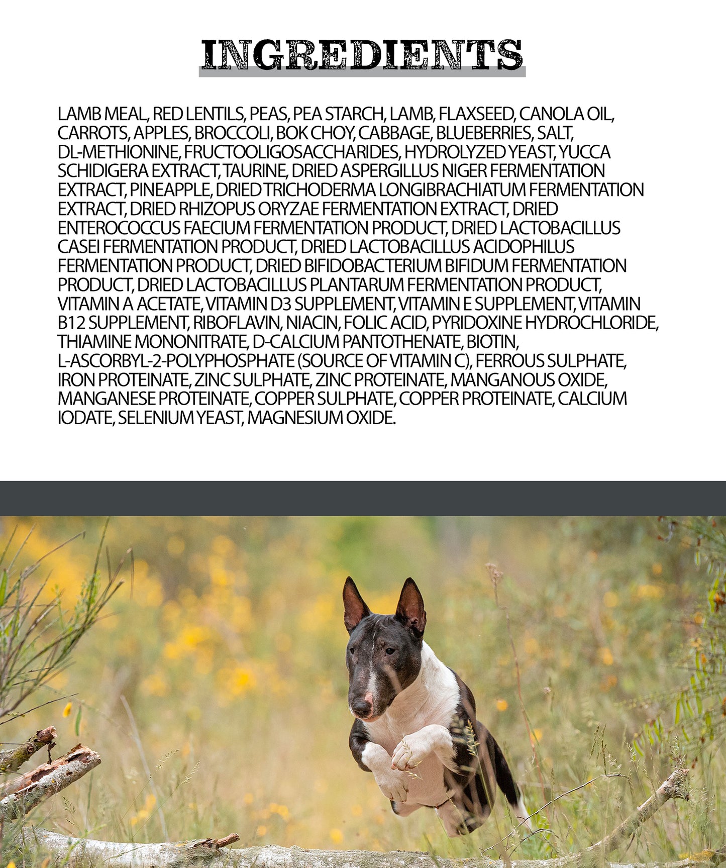 Horizon Pulsar Lamb All Life Stages Dog Food