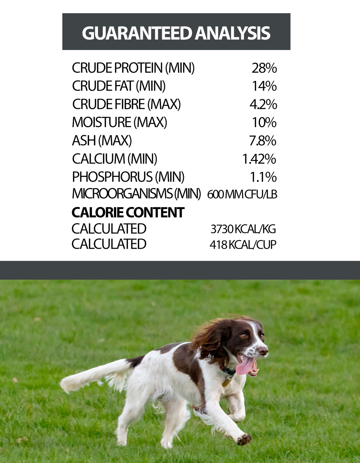 Horizon Pulsar Lamb All Life Stages Dog Food