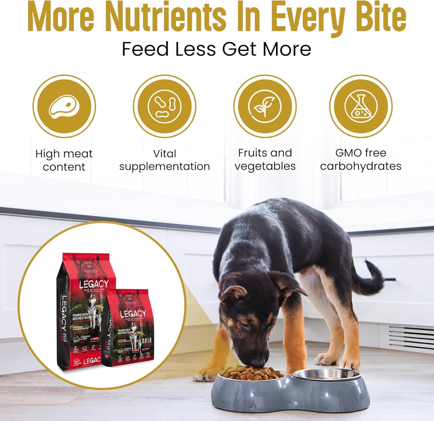 Horizon Legacy Red Meat Blend Dry Dog Food