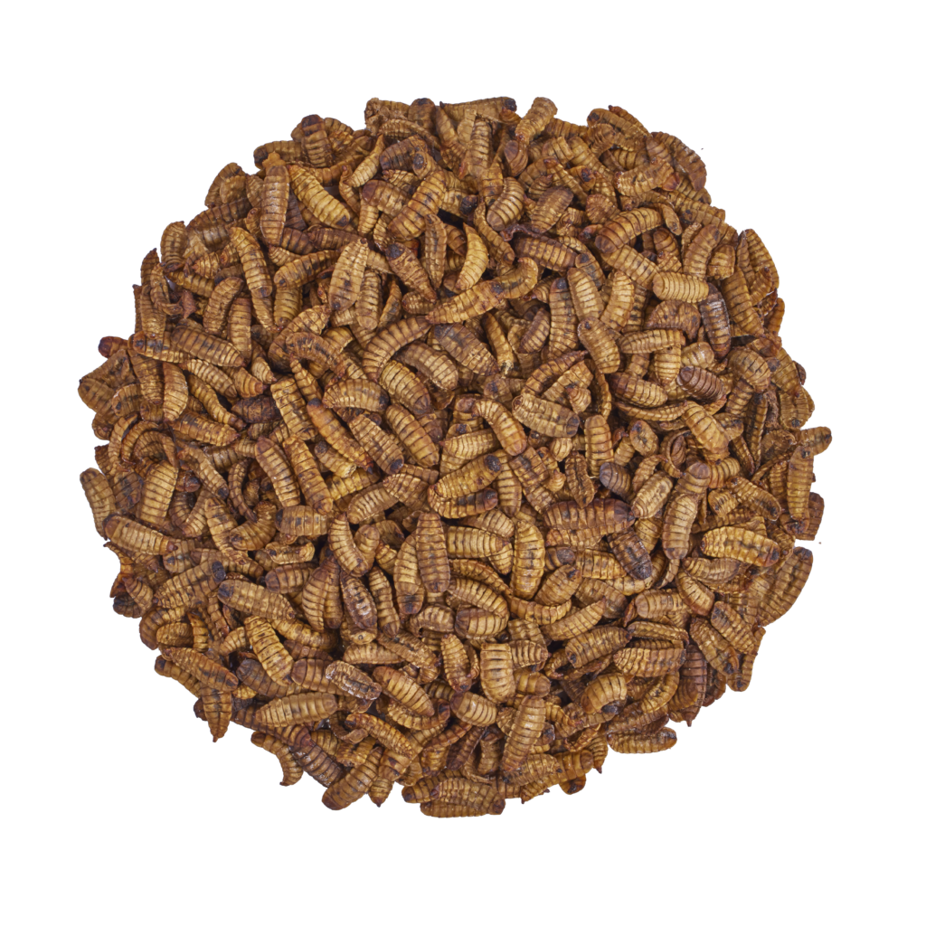 Scratch and Peck Dried Grubs