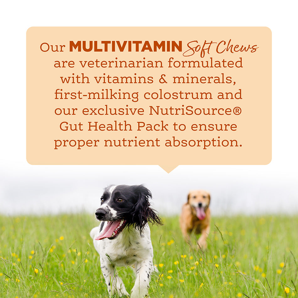 Nutrisource AmpliFull Multivitamin Soft Chew Supplement for Dogs