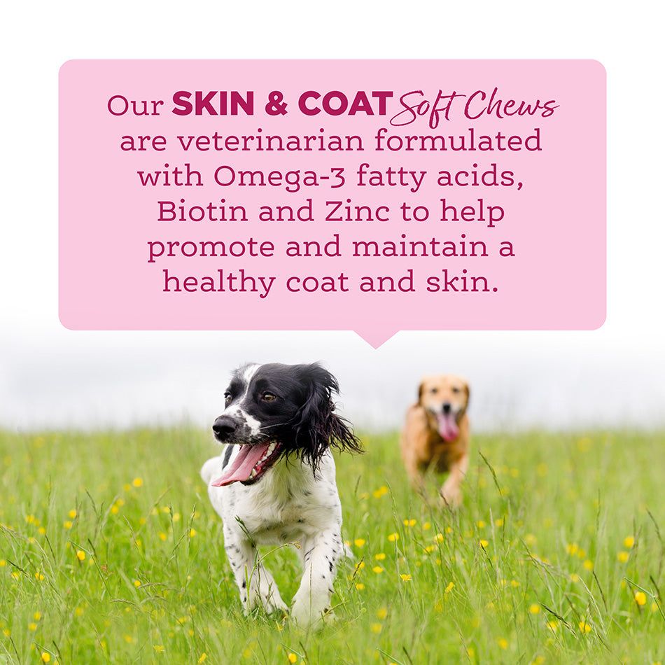 Nutrisource AmpliFull Skin & Coat Soft Chew Supplement for Dogs