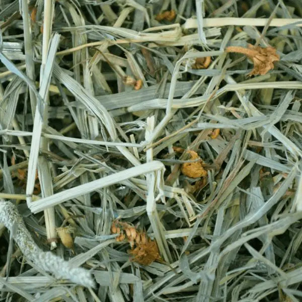 Oxbow Botanical Hay