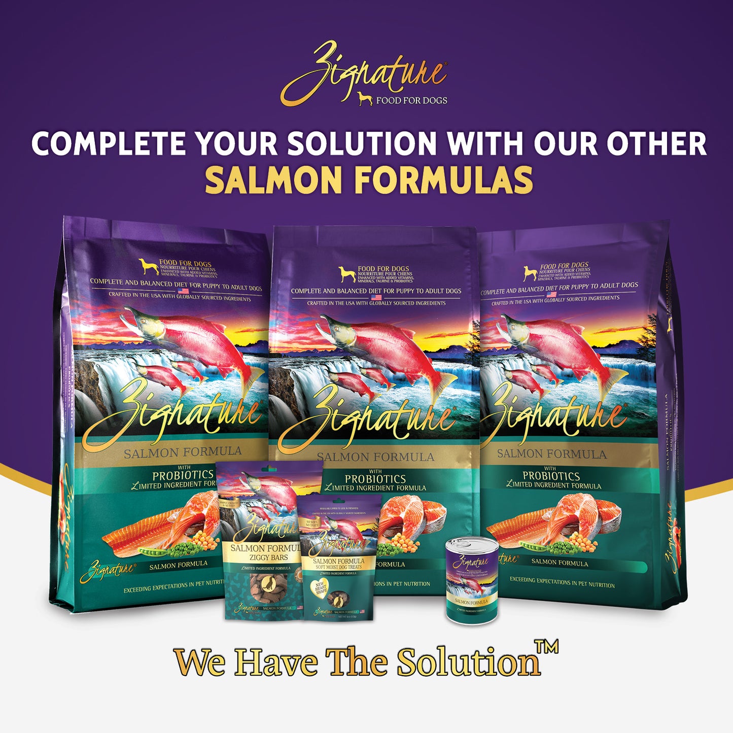 Zignature Salmon Canned Dog Food Formula