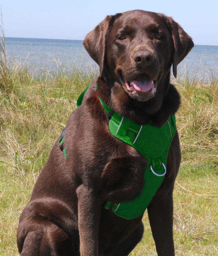 Baydog Green Chesapeake Harness