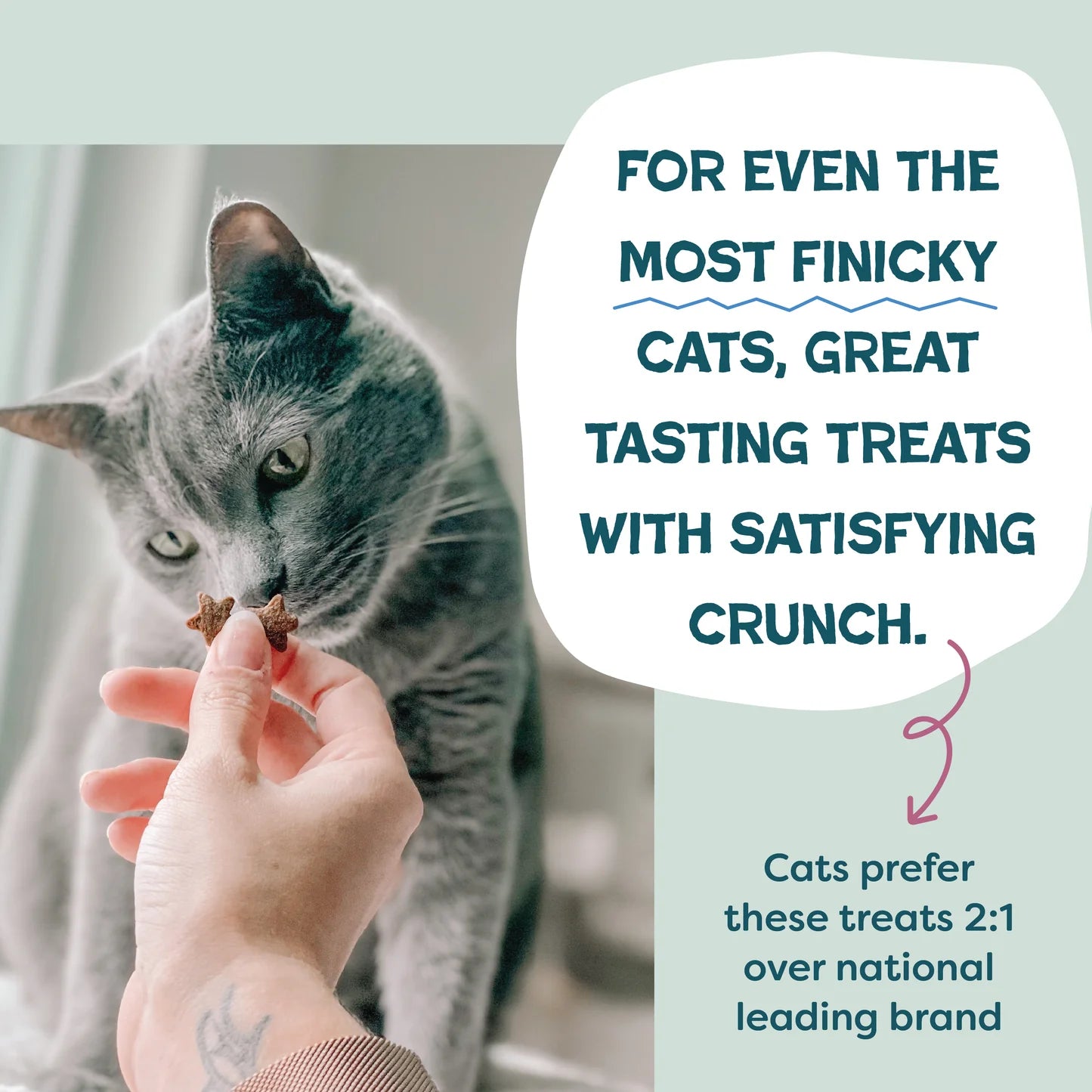 Shameless Pets Cran You Say Chicken Crunchy Cat Treats