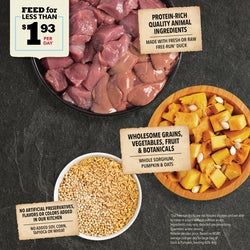 ACANA Wholesome Grains Duck & Pumpkin Limited Ingredient Dry Dog Food