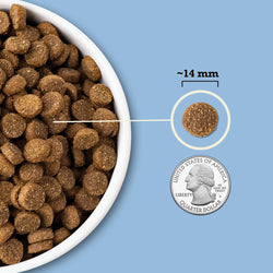 ACANA Wholesome Grains Duck & Pumpkin Limited Ingredient Dry Dog Food
