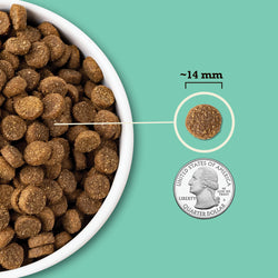 ACANA Wholesome Grains Lamb & Pumpkin Limited Ingredient Dry Dog Food