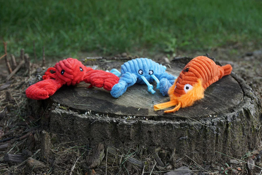 HuggleHounds Raw Bar Wee Huggles Dog Toy