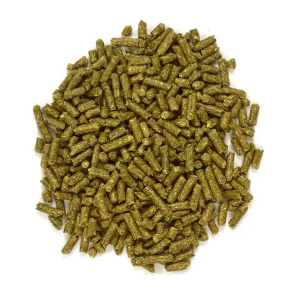 Oxbow Animal Health Garden Select Chinchilla Food
