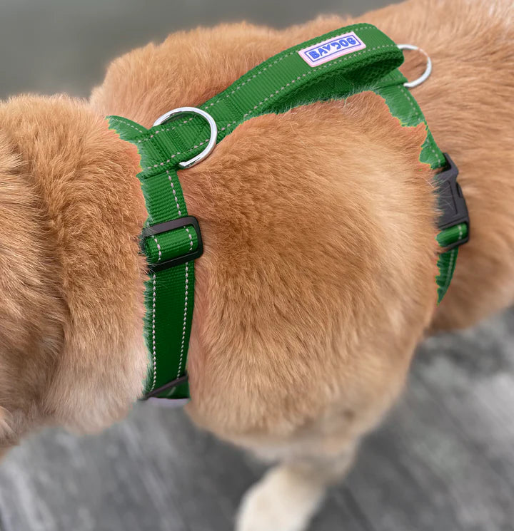 Baydog Green Chesapeake Harness
