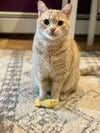 HuggleHounds HuggleKats Cat Toy Sardinies
