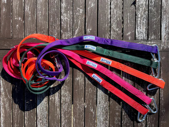 Baydog Black Hudson Leash