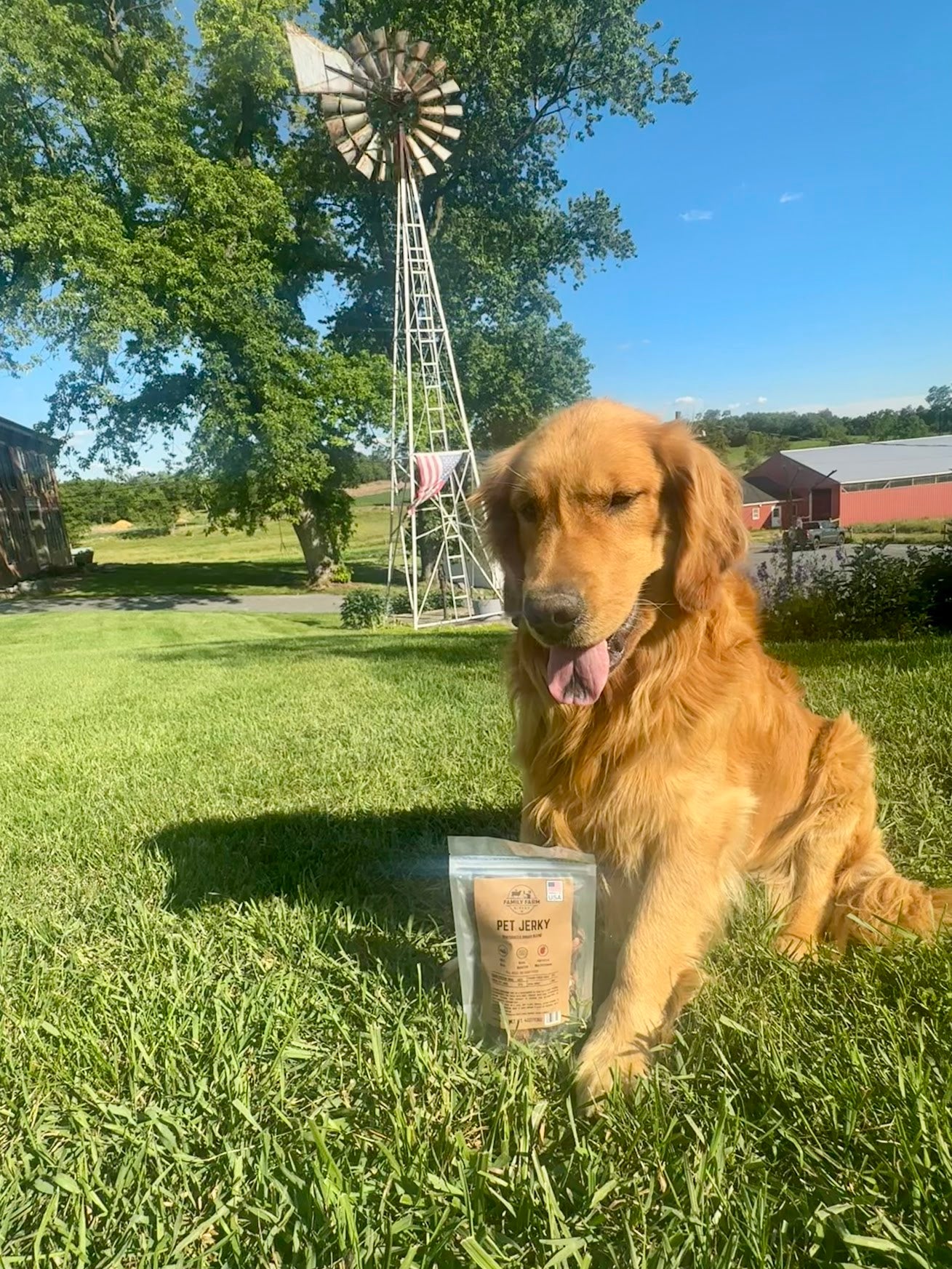 Family Farm Direct Dehydrated Beef Organ Blend Pet Jerky