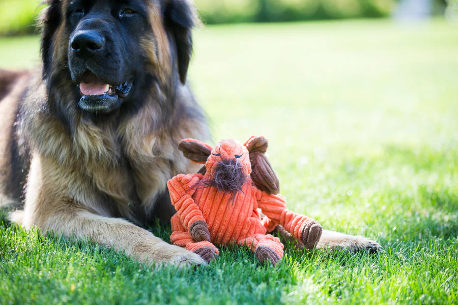 HuggleHounds Morris Moose Knottie Dog Toy