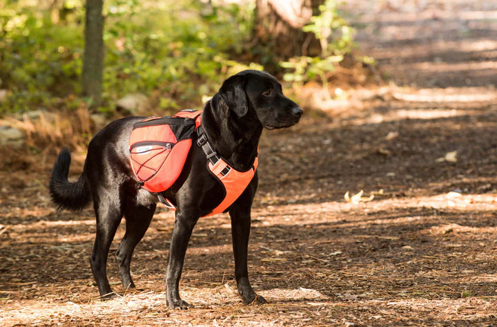 Baydog Saranac Orange Backpack
