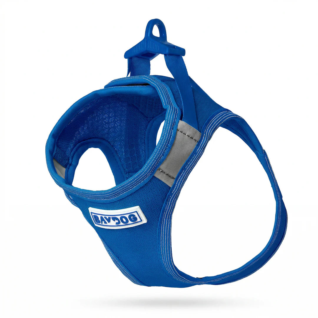 Baydog Blue Liberty Harness