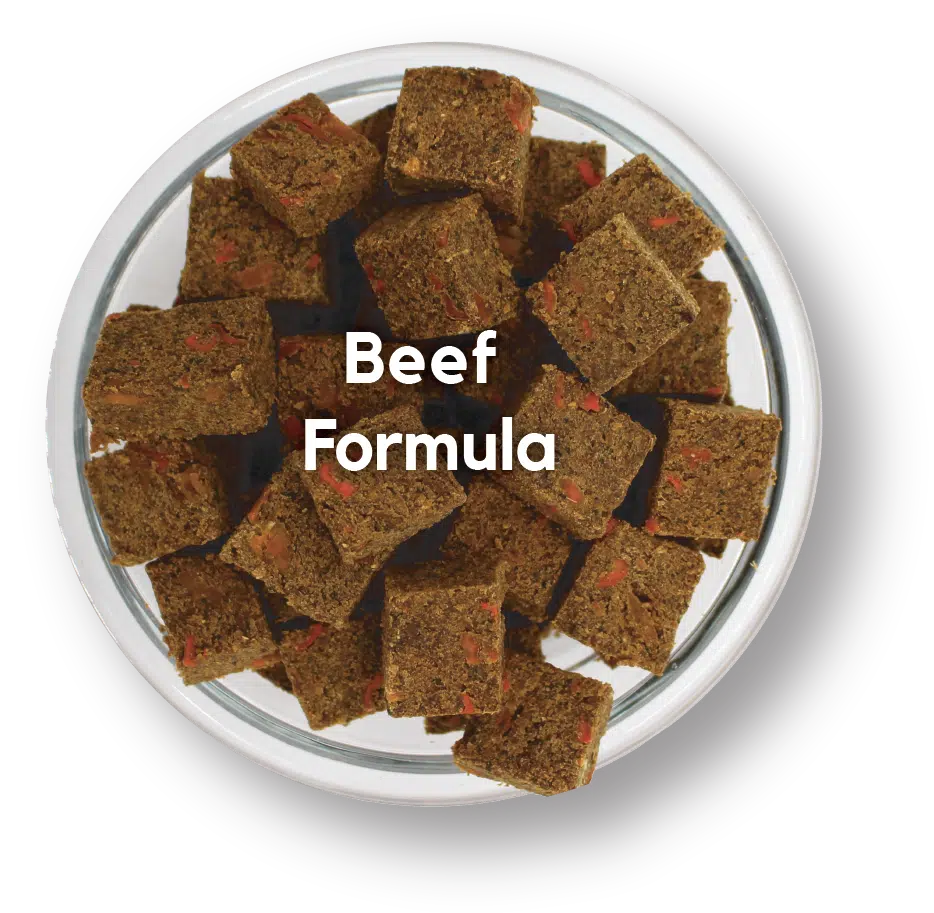 Lucy Pet Mom's Meatloaf Beef with Carrots, and Spinach for Dogs