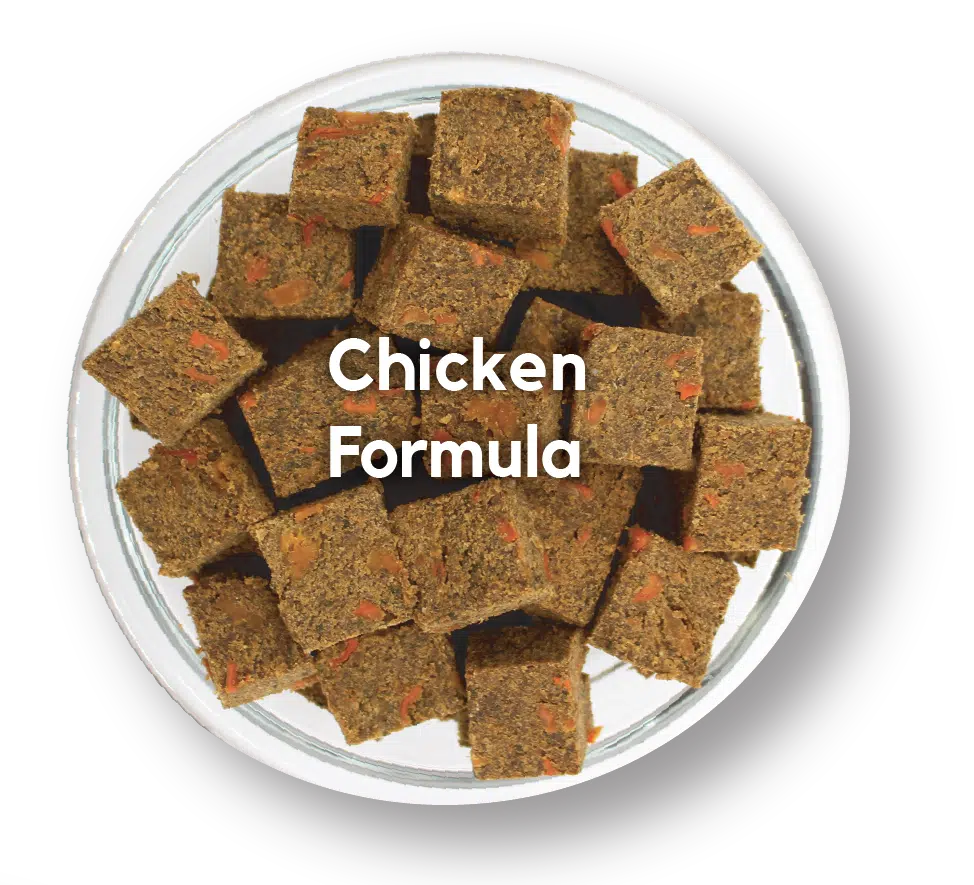 Lucy Pet Mom's Meatloaf Chicken with Carrots and Spinach for Dogs