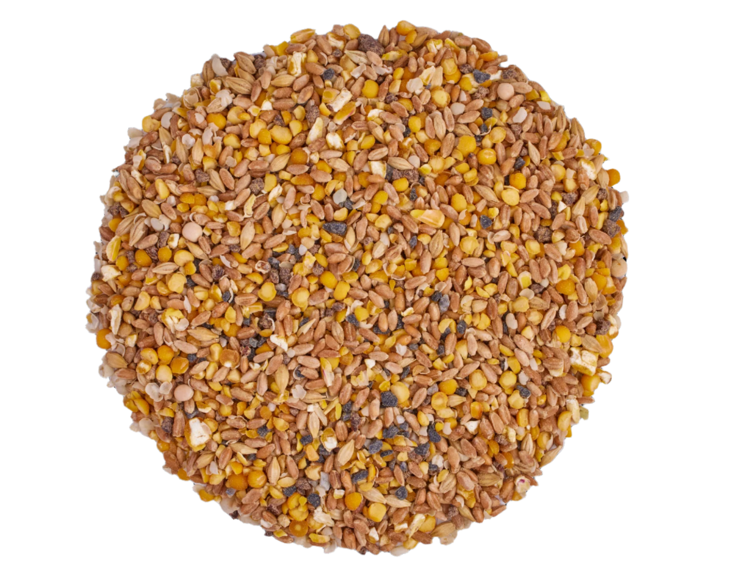 Scratch and Peck Organic Chicken and Duck Feed Layer Mash 16% with Corn