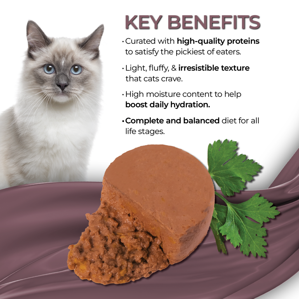 Fussie Cat Mackerel With Pumpkin Entree Wet Cat Food