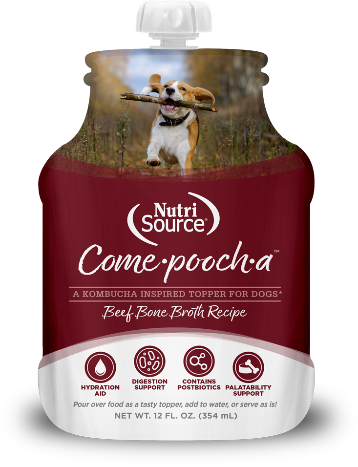 Nutrisource Come-Pooch-A Beef Bone Broth Recipe for Dogs