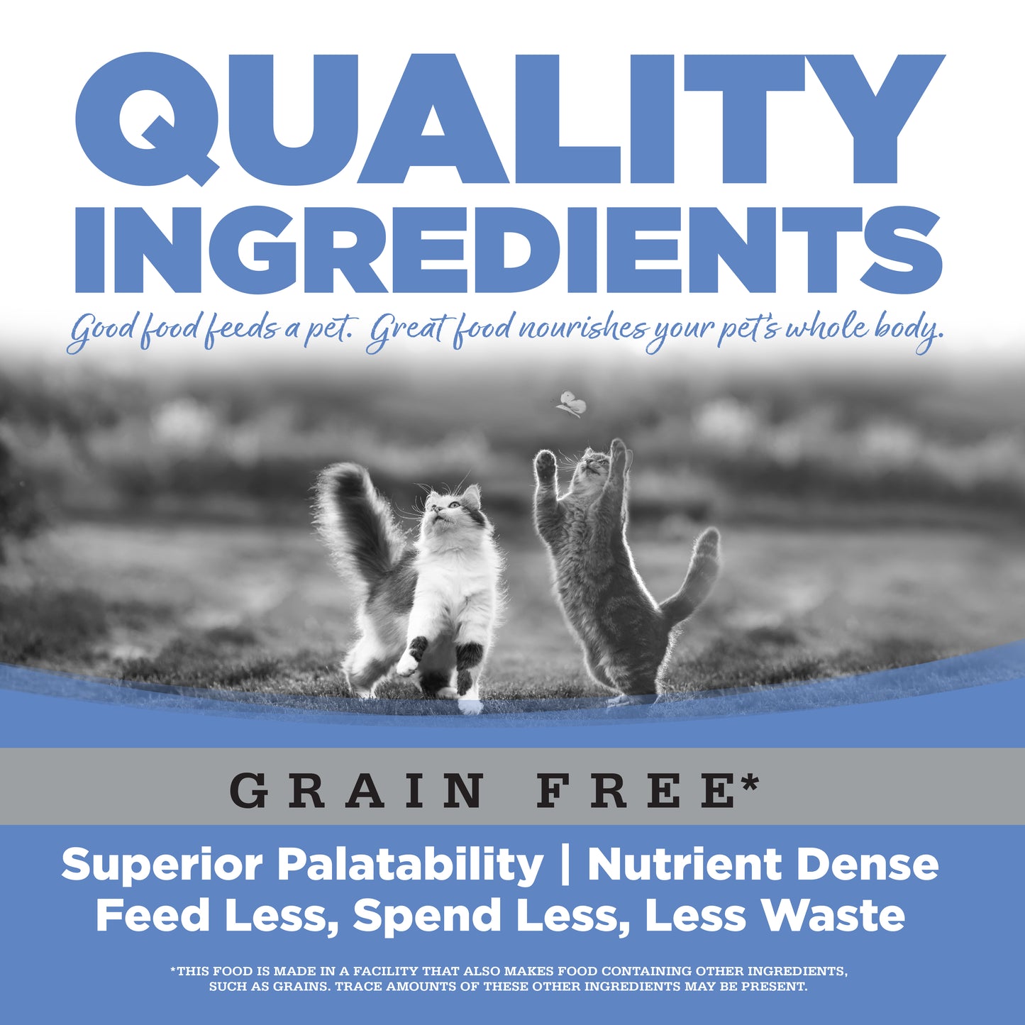 PureVita Grain Free Turkey Entrée for Cats