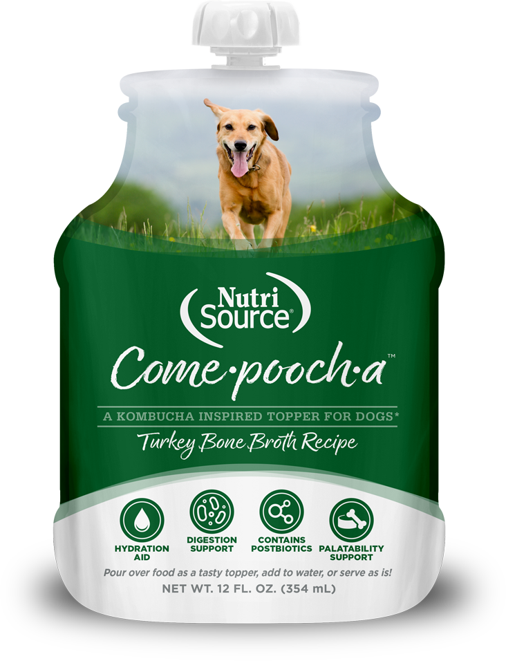 NutriSource Come-Pooch-A Turkey Bone Broth Recipe for Dogs