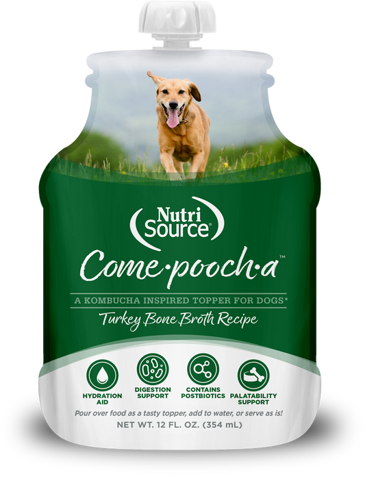 NutriSource Come-Pooch-A Turkey Bone Broth Recipe for Dogs