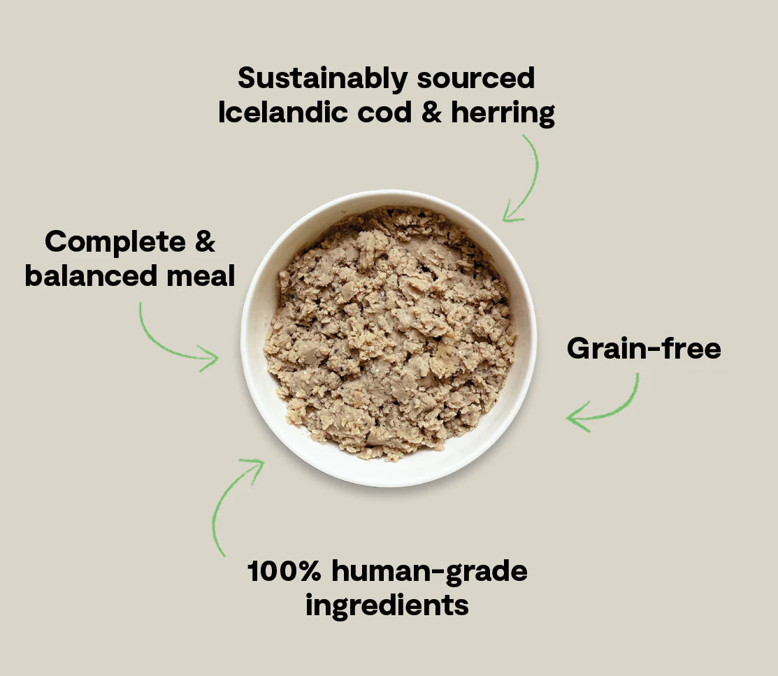 Open Farm Cod Recipe With Blueberries Wet Icelandic Dog Food