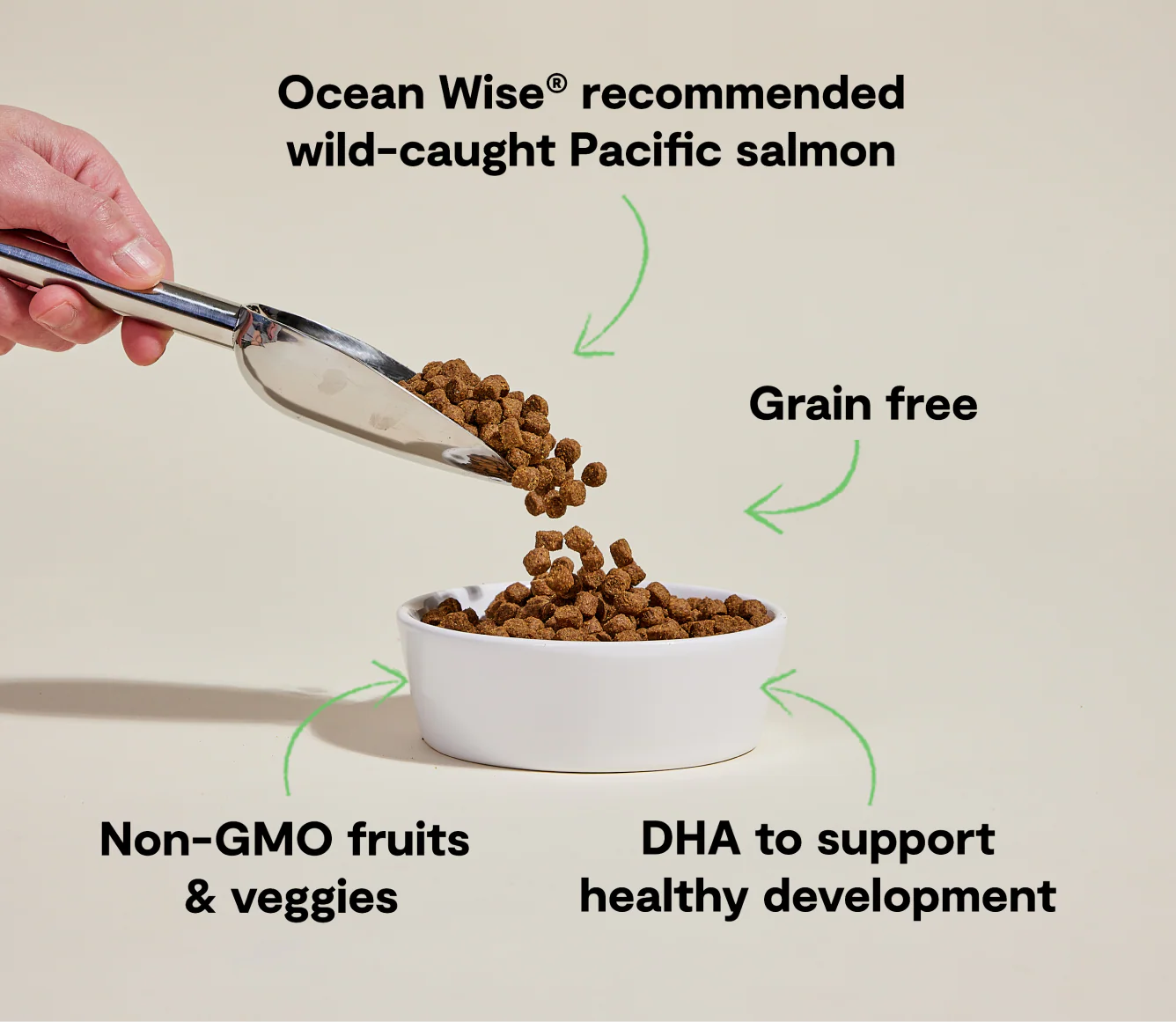 Open Farm Salmon & Sweet Potato Dry Puppy Food