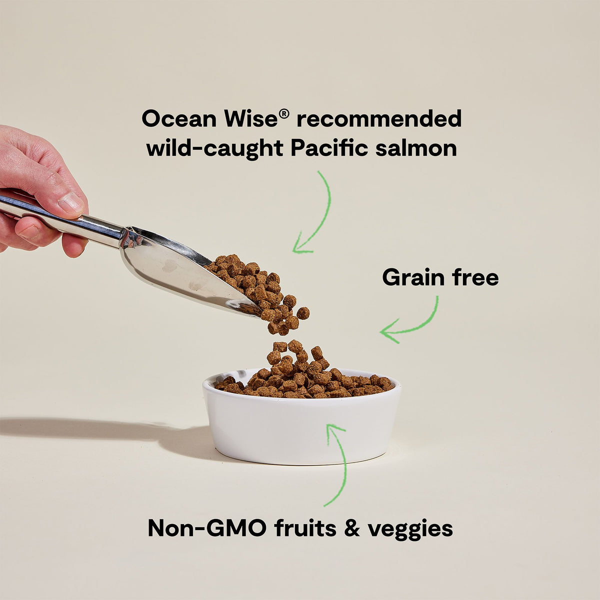 OPEN FARM Grain Free Wild-Caught Salmon Recipe Dry Dog Food