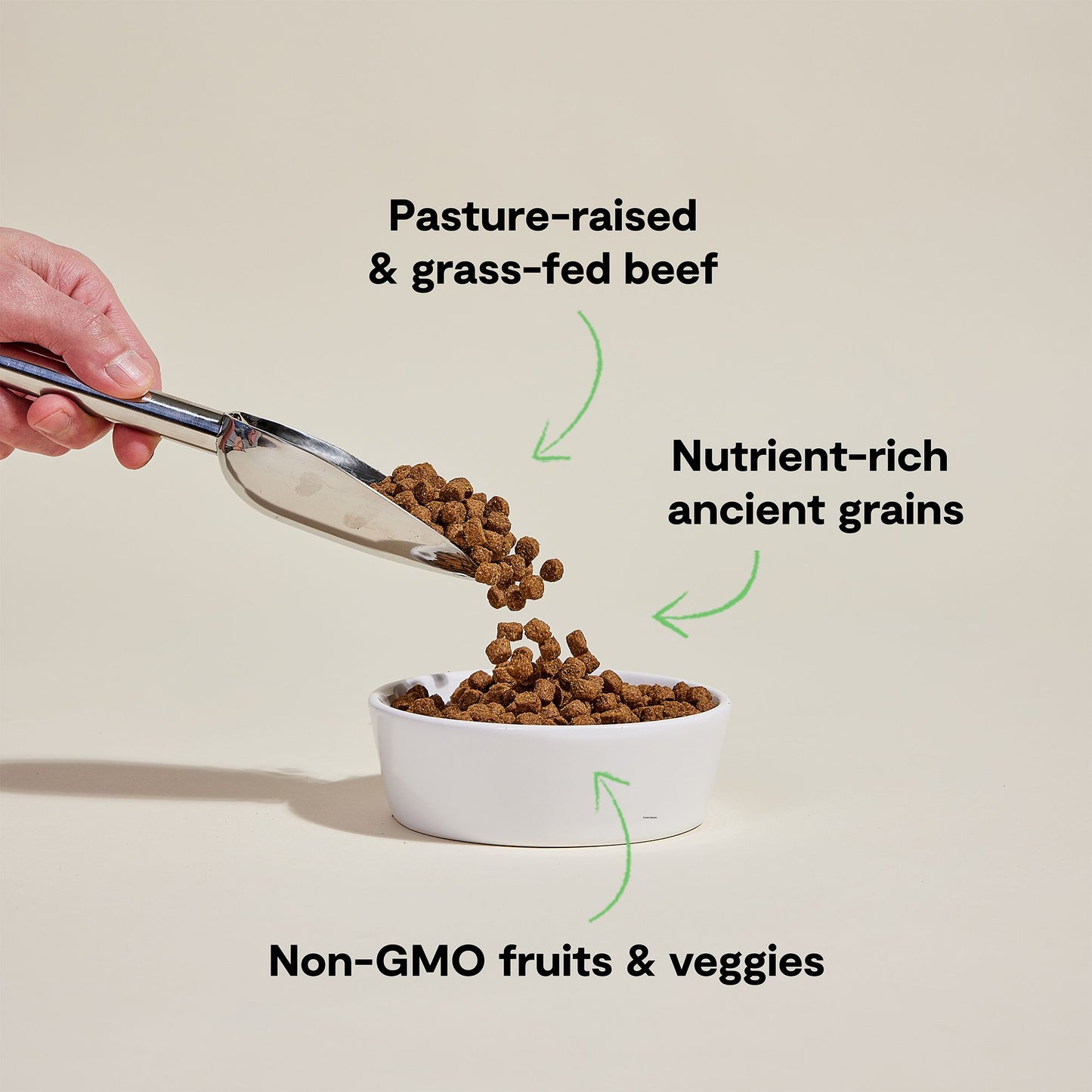 OPEN FARM Grass-Fed Beef and Ancient Grains Dry Dog Food